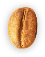 kahvipapu