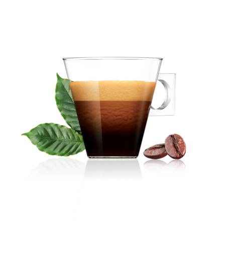 kestävä kulutus