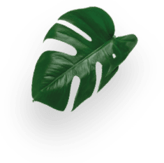 Zoégas Mollbergs Blandning decoration Image